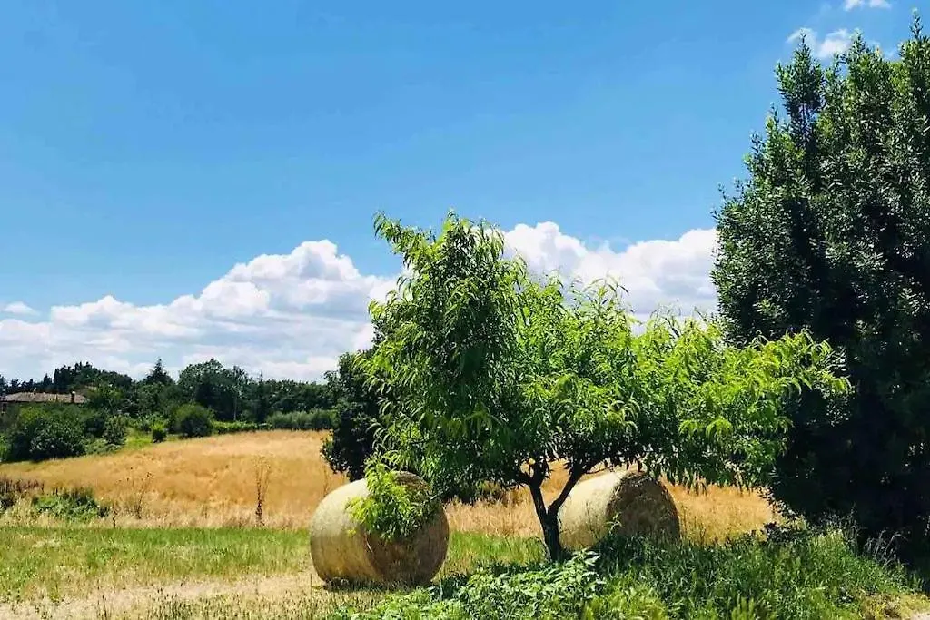 Villa In Toscana A Due Passi Da Saturnia San Giovanni delle Contee